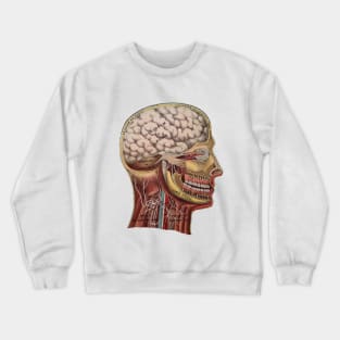 Vintage Human Head Anatomy Crewneck Sweatshirt